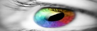 Website designing company Web Design India - Professional SEO and Website Development Service Company vadodara