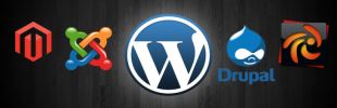 Open source development company IT Application Development, open source software, IT software development, open source solution India, open source enterprise, open source solution provider India, open source software solution, open source, open source software development India